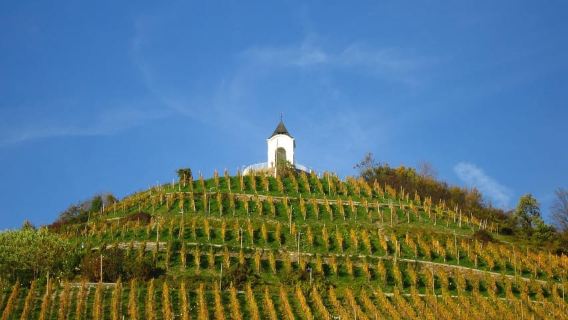 GrazTours