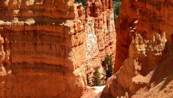 Комбинированный тур в Брайс-Каньон и национальный парк Зайон из Лас-Вегаса