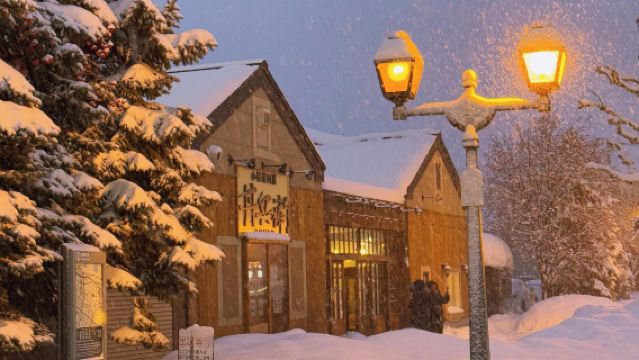 日本北海道小樽一日遊｜天狗山｜札幌往返｜尋找《情書》中的美景