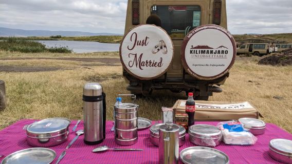 Arusha: Day Trip to Arusha National Park with Lunch.