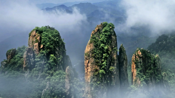 Jinhua Chauffeurservice, Reiseführer, Übersetzung, örtliche Begleitung, Transfer, Tourismusmesse, Geschäftsreise, Begleitung zum Arztbesuch