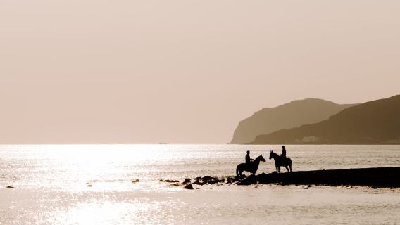 Santorini: Paseo a caballo por la playa de arena negra de Eros