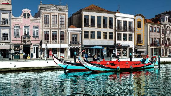 Aveiro: Malerische geführte Bootstour