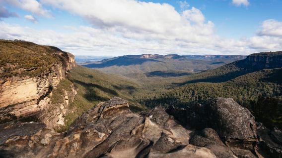 Sydney: Tur Satwa Liar & Bushwalk Blue Mountains dalam Kelompok Kecil
