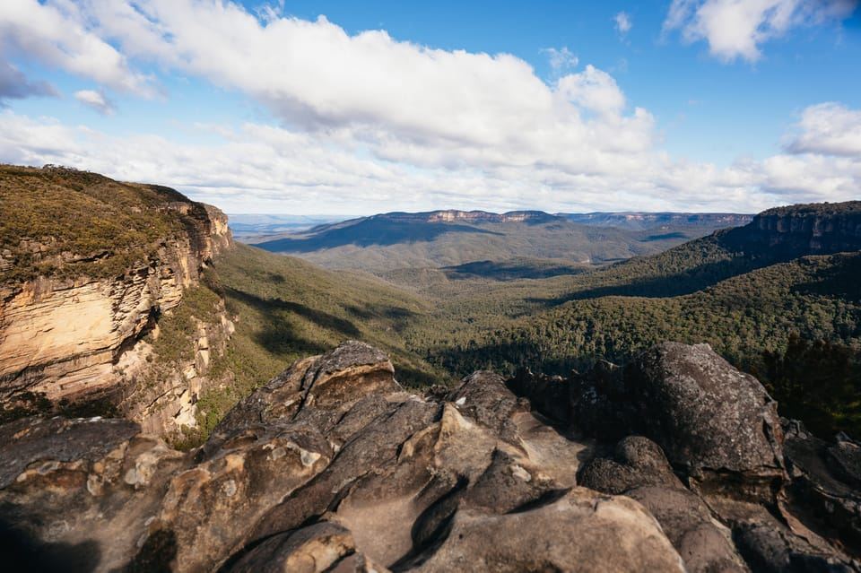 Sydney: Tur Satwa Liar & Bushwalk Blue Mountains dalam Kelompok Kecil