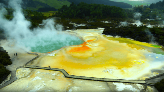 Da Rotorua: tour di mezza giornata del paese delle meraviglie geotermiche WAI-O-TAPU