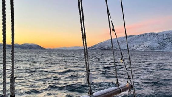 Tromsø: Visit to Finnkroken and their Christmas Market