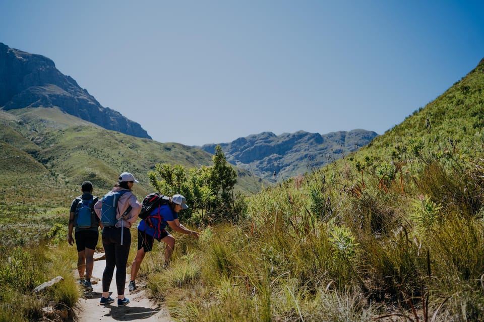 Jonkershoek: Waterfall Hike and 4x4 Safari Ride