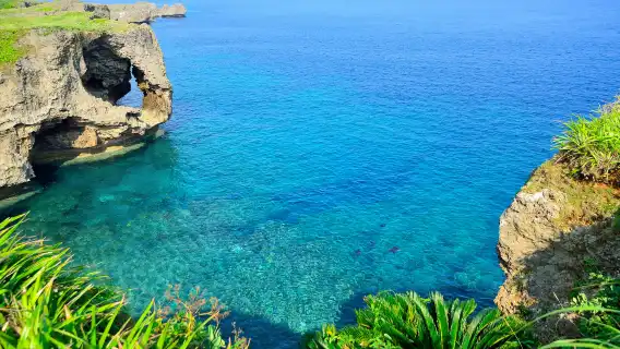 沖繩北部一日遊|美麗海水族館・萬座毛・古宇利島・備瀨福木林道