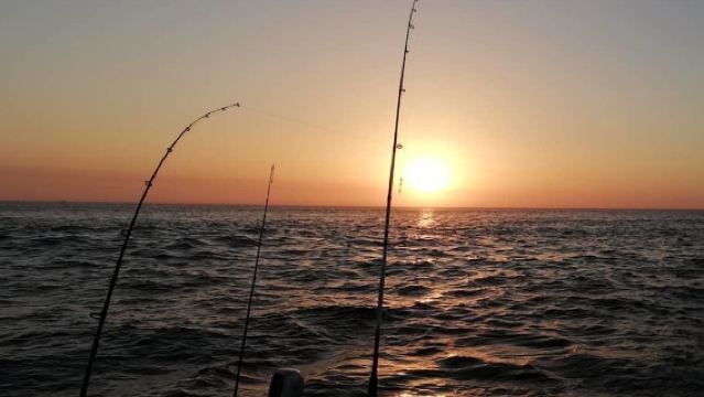 The Shark Fishing (Best Seller)