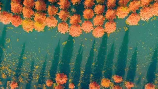 Lawatan sehari ke Kawasan Pemandangan Shilin Kunming dan Tasik Dian [Termasuk makan tengahari + pemandu pelancong + tiket masuk]