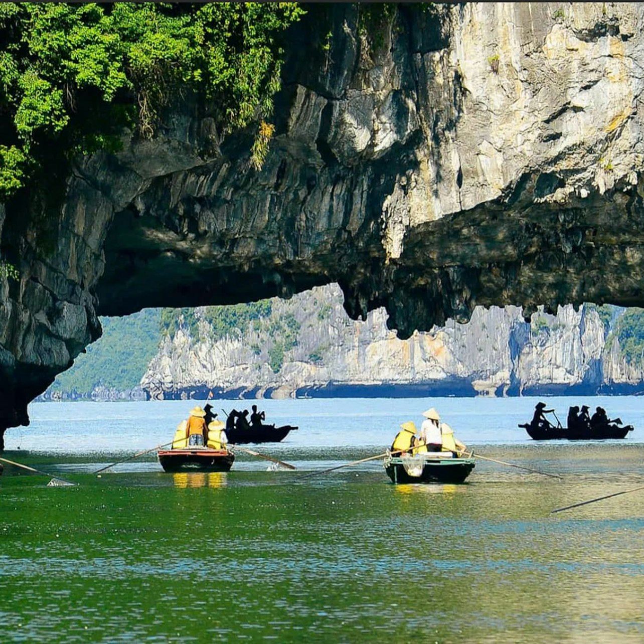 Ha Long: Tageskreuzfahrt + Transfers + Mittagessen