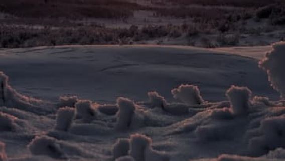 Уникальное сафари на снегоходах к смотровой площадке Лапландии