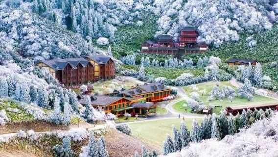 Descubre un paraíso invernal: excursión de un día a la nieve en la montaña Jinfo desde Chongqing