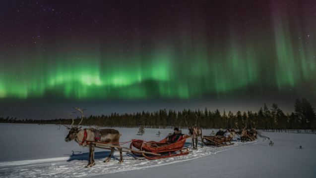 Mengejar Aurora di Rovaniemi, Finland | Makan Salmon Panggang di Kota Kayu Tradisional + Fotografi/Sled