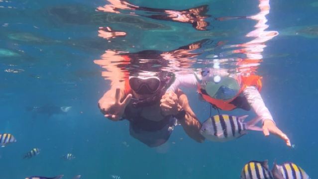 オーストラリア・パース ショールウォーター・アイランズ・マリーン・パーク ダイビング&シュノーケリング4時間体験【3島(ペンギン島/アザラシ島/鳥島)】