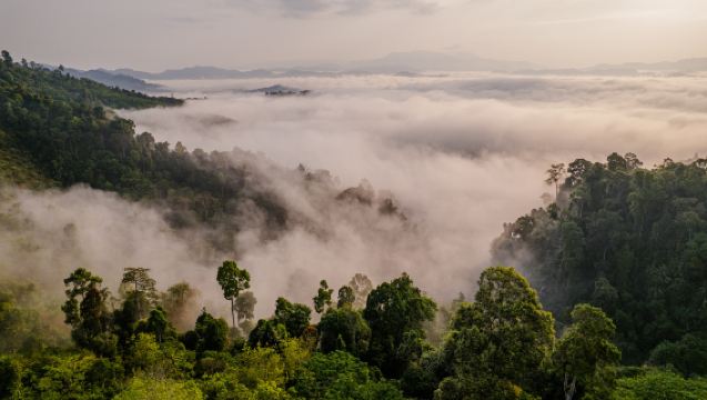 Khao Lak: Excursión en 4x4 al Mirador del Amanecer en el Mar de Niebla de Khao Khai Nui o al Mirador del Atardecer