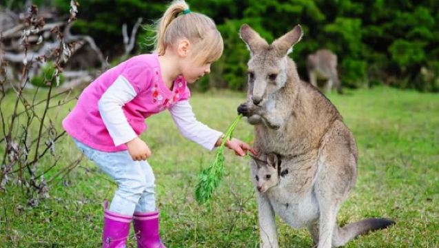 โกลด์โคสต์ ตั๋วชุดเลือกได้ วอร์เนอร์บราเธอร์ส มูฟวี่เวิลด์/ซีเวิลด์/ไวท์วอเตอร์เวิลด์/พาราไดซ์คันทรี