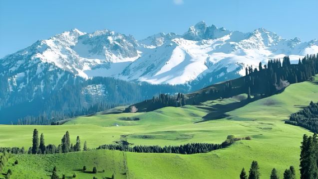 One-Day Tour from Yining to Qaxi Grassland: Experience the Hidden Paradise and Discover the Jiangnan Beyond the Great Wall in Ili!