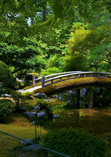 京都一日遊：金閣寺+嵐山全景