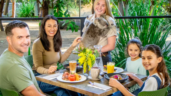 Gold Coast Currumbin Wildlife Sanctuary + koalafoto's eendaagse tour [Optioneel ontbijt of middagthee]