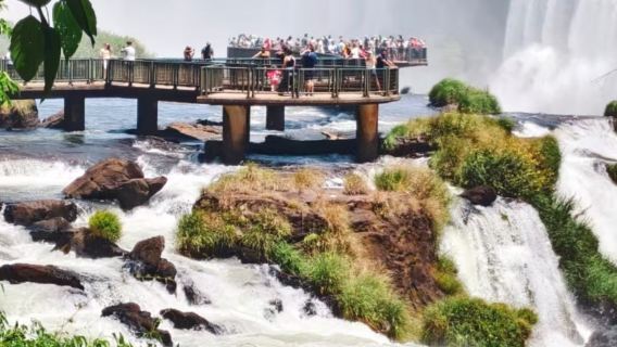 Tour di un giorno al Parco nazionale dell'Iguaçu lato brasiliano + Cascate dell'Iguazú + Bird Park / Trasferimento da/verso l'hotel