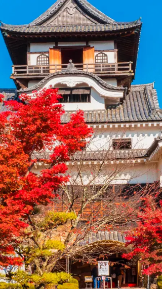 Nagoya: Inuyama Castle + Inuyama-jokamachi private charter 1-day tour, Chinese pick-up / adjustable itinerary 