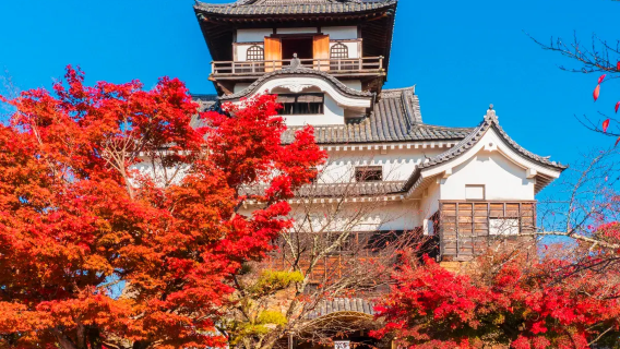 Nagoya: Inuyama Castle + Inuyama-jokamachi private charter 1-day tour, Chinese pick-up / adjustable itinerary