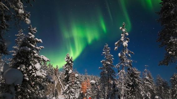 Excursión fotográfica para rastrear la aurora boreal en Levi, Finlandia | Minibús + bebidas calientes y aperitivos + fotos