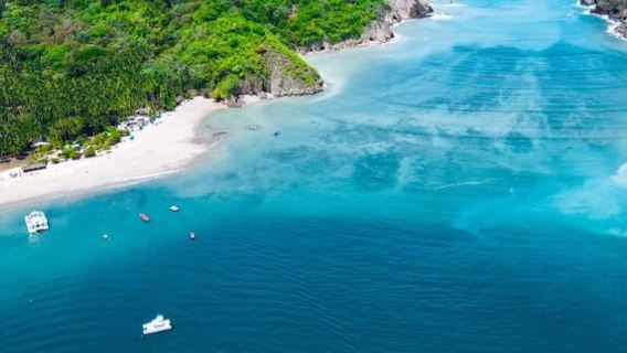 Jednodniowa wycieczka z San José na wyspę Tortuga z lunchem i snorkelingiem