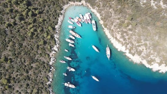 Bodrum: Orak Island Full-Day Boat Trip with Swimming & Lunch