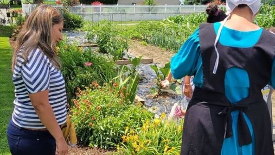Unique Amish Immersion Experience