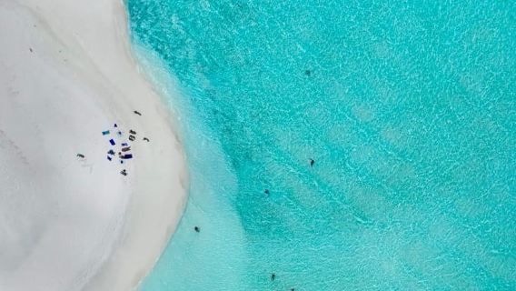 Maafushi: Nurse Sharks, Stingrays, Sand Bank and Dolphins