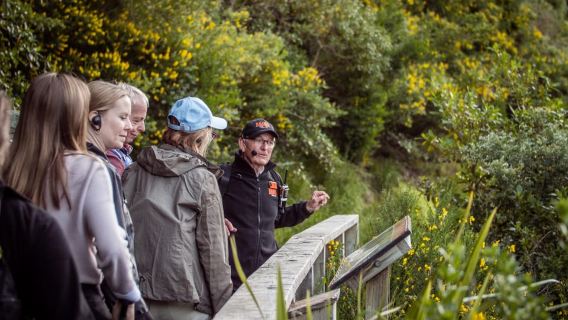 Wellington: Zealandia by Day Tour