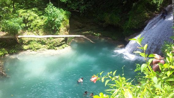 Montego BayExperiences