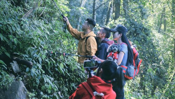 騰衝高黎貢山青巖子徒步一日遊5-10km歐陽娜娜同款徒步線路