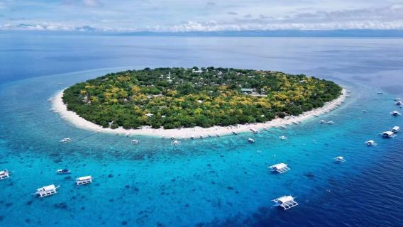 Chasse aux dauphins et plongée en apnée à Bohol à Casa Parisi & rivière Lobo & Chocolate Hills & Tarsier & Butterfly Garden