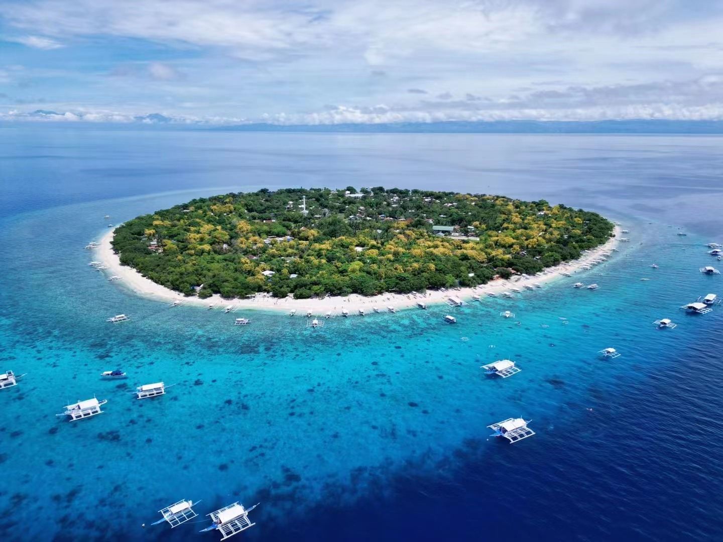 Delfinbeobachtung in Bohol & Schnorcheln in Balicasag & Loboc-Fluss & Chocolate Hills & Tarsier & Schmetterlingsgarten