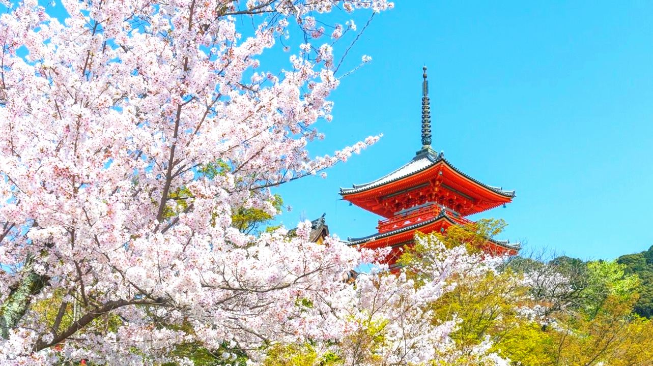 Tour di un giorno a Kyoto: Santuario di Fushimi Inari-taisha, Arashiyama e Parco di Nara con partenza e ritorno da Osaka e Kyoto