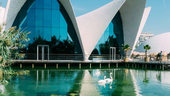 Oceanogràfic di Valencia: biglietto d'ingresso