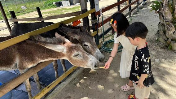 柔佛迪沙魯一日遊|新山出發【自營專線+中英司機】