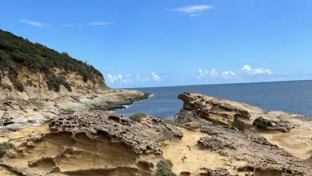 中國台灣台北野柳地質公園+九份老街+士林夜市一日遊