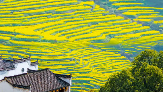 FuliangTours