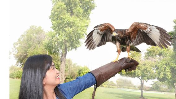 Dubai Attraction: Dubai Dolphinarium