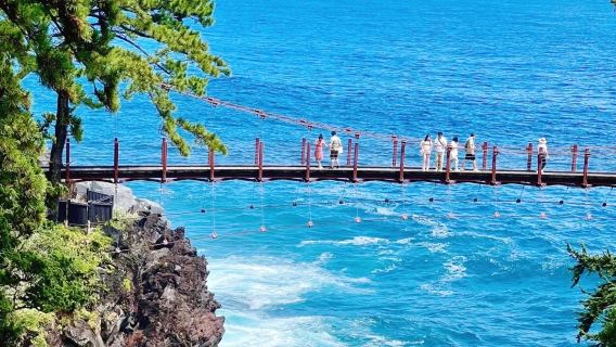 Excursion d'une journée à Izu (9 personnes) par mer, terre et air : train maritime gratuit, côte de Shiroki et mont Omuro