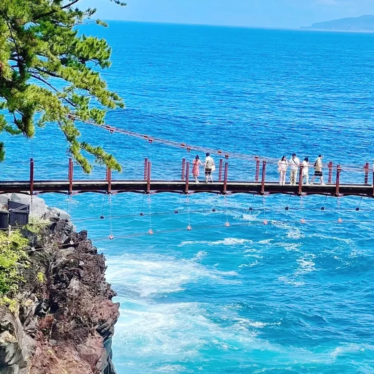 Tokyo 1-day tour to Mt. Omuro + Jogasaki Coast + Ito Marine Town