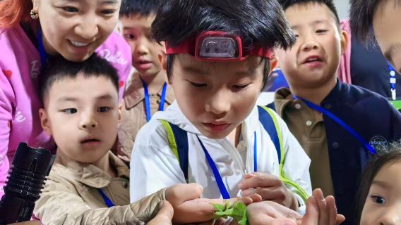 Xishuangbanna Tianyuan Insect Valley|Night Tour to Insect Valley + Family Study Tour + Professional Guide + Transfer Service (Pure Play)|