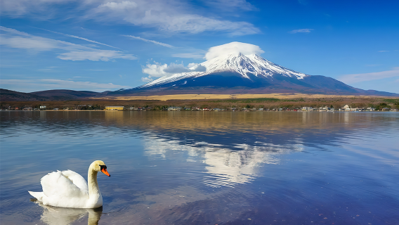 Mount Fuji 1-day tour: Lake Yamanaka cruise, 5th Station, and Oishi Park exploration
