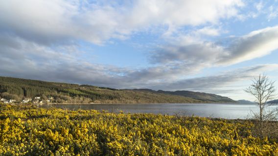 The Complete Loch Ness Experience: Day Tour from Inverness