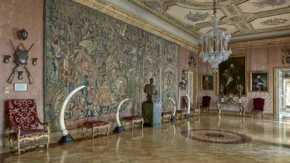 Palacio de Liria: Entry Ticket + Audio Guide